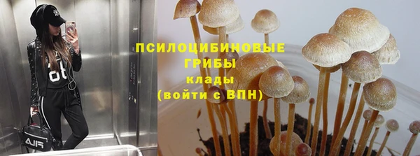 мяу мяу мука Абдулино