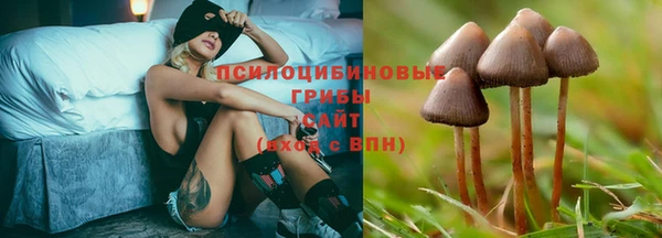 соль курить ск Алексин