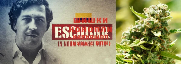 скорость Абинск