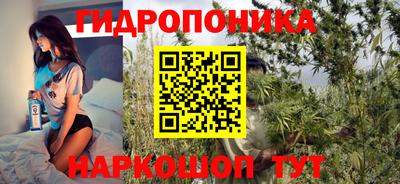 a pvp Ирбит