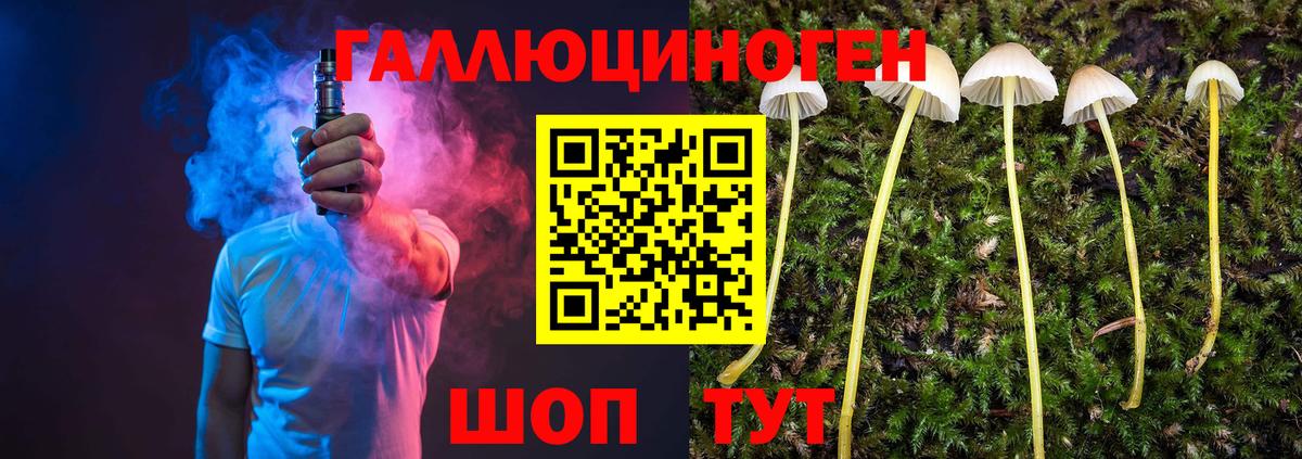 Псилоцибиновые грибы прущие грибы  Псилоцибиновые грибы Magic Shrooms  Курчатов  Вход с VPN 